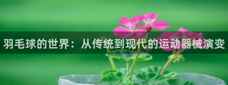 三亿体育官网下载:羽毛球的世界:从传统到现代的运动器械演变