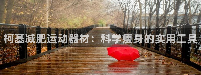 三亿官方集团官网:柯基减肥运动器材:科学瘦身的实用工具