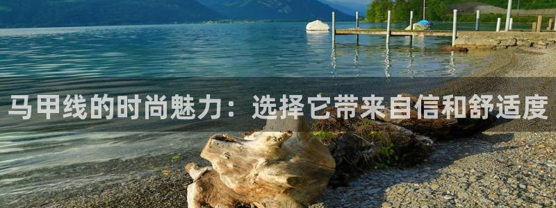 三亿体育官网下载软件:马甲线的时尚魅力:选择它带来自信和舒适