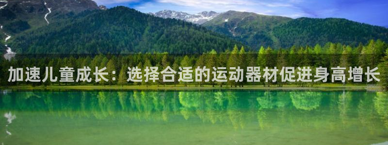 三亿体育官方正版app娱乐:加速儿童成长:选择合适的运动器材